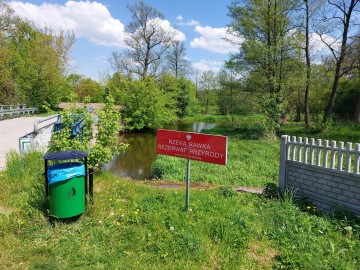 Wiosenne sprzątanie Rawki, 